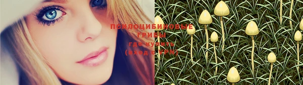 бутират Михайловск